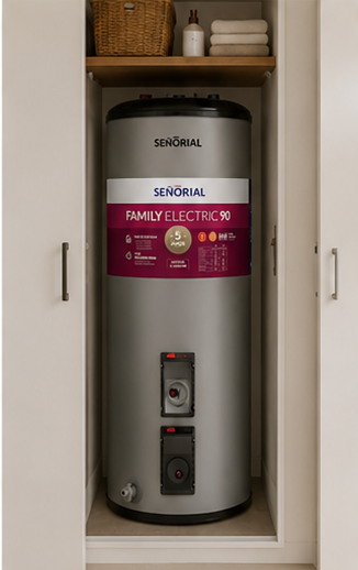 Termotanque Eléctrico Señorial Family Tts-90 L Ear Gris 90l