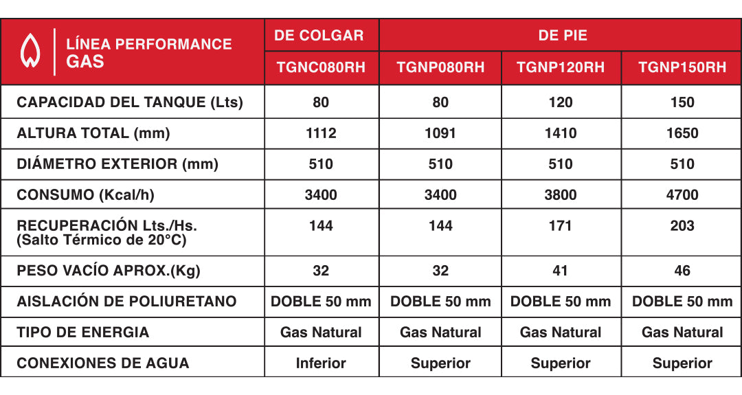 Termotanque a gas natural Rheem AEE TGNC080RH 80Lts Carga Inferior
