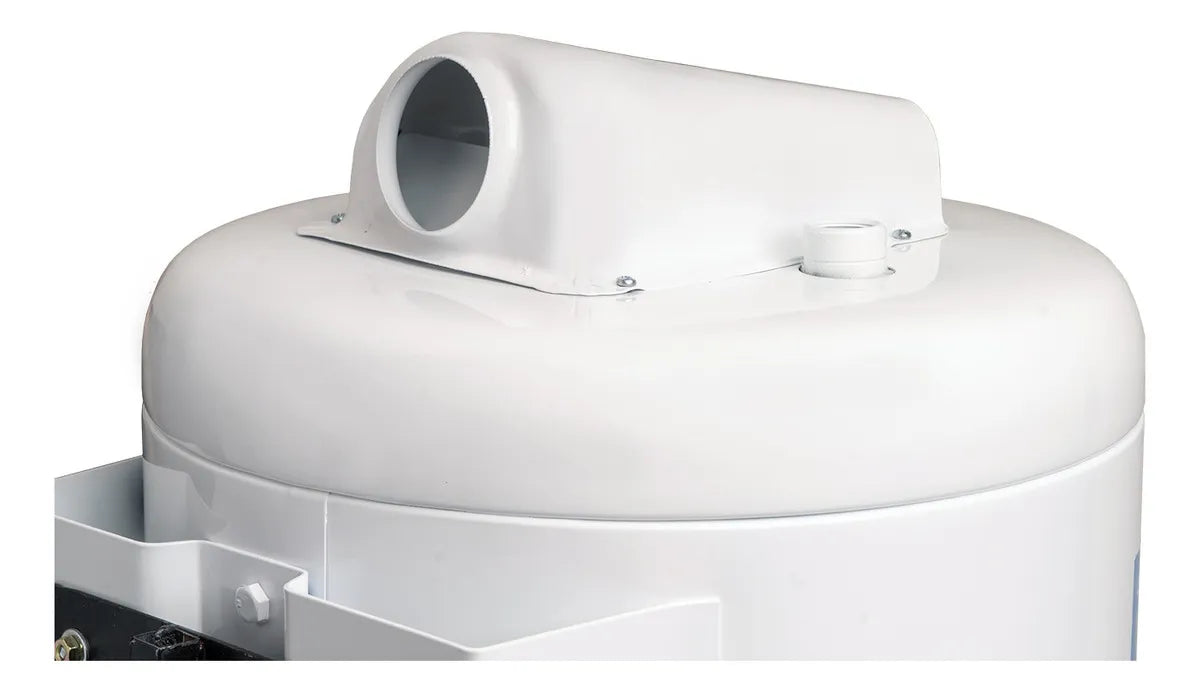 Termotanque A Gas Ecotermo Ep53 Alta Recuperación 51lt C/sup Color Blanco