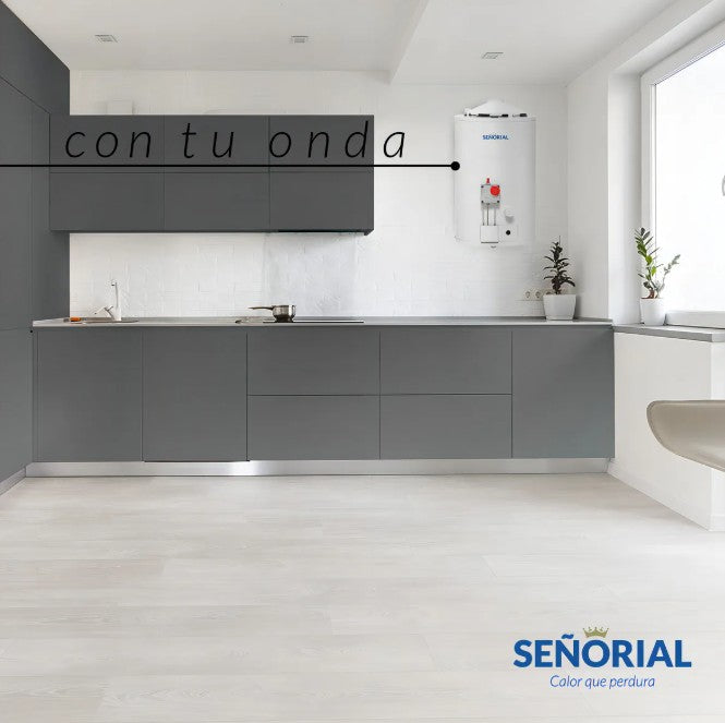 Termotanque Eléctrico Señorial Zafiro TESZ-65 50 L Superior - 330005