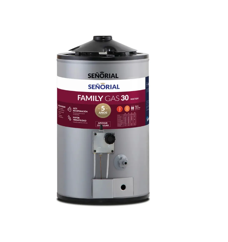 Termotanque Señorial Family TTS-30 30L Multigas Gris