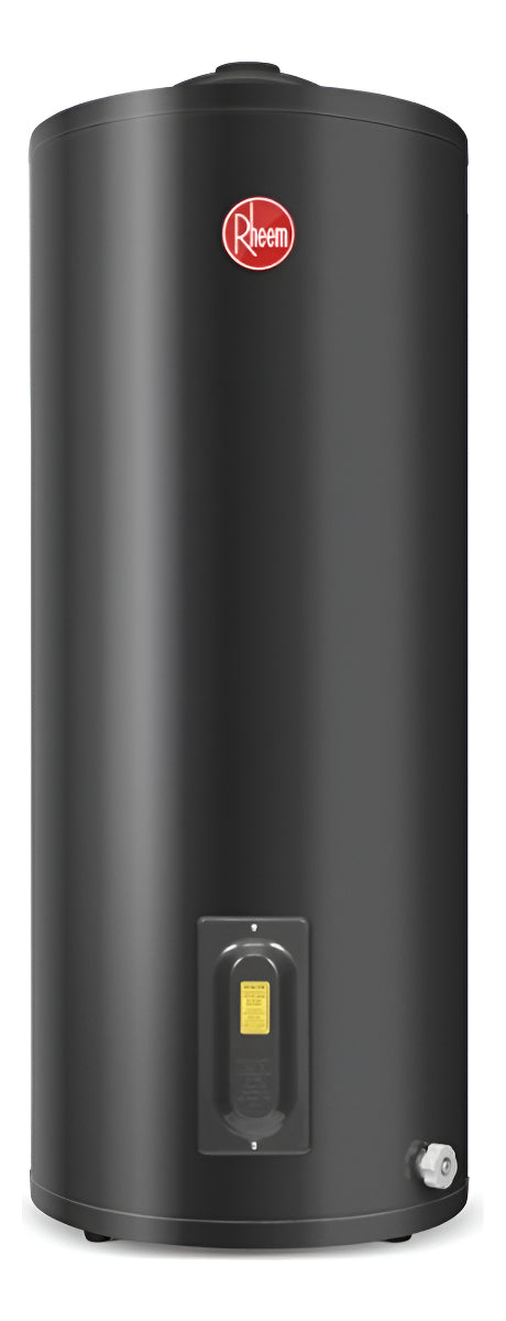 Termotanque Electrico De Pie Rheem Tep125rh Gris 125 Litros Carga Superior