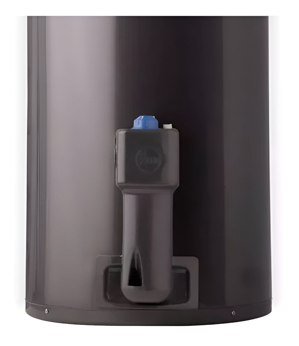 Termotanque a gas natural Rheem AEE TGNC080RH 80Lts Carga Inferior