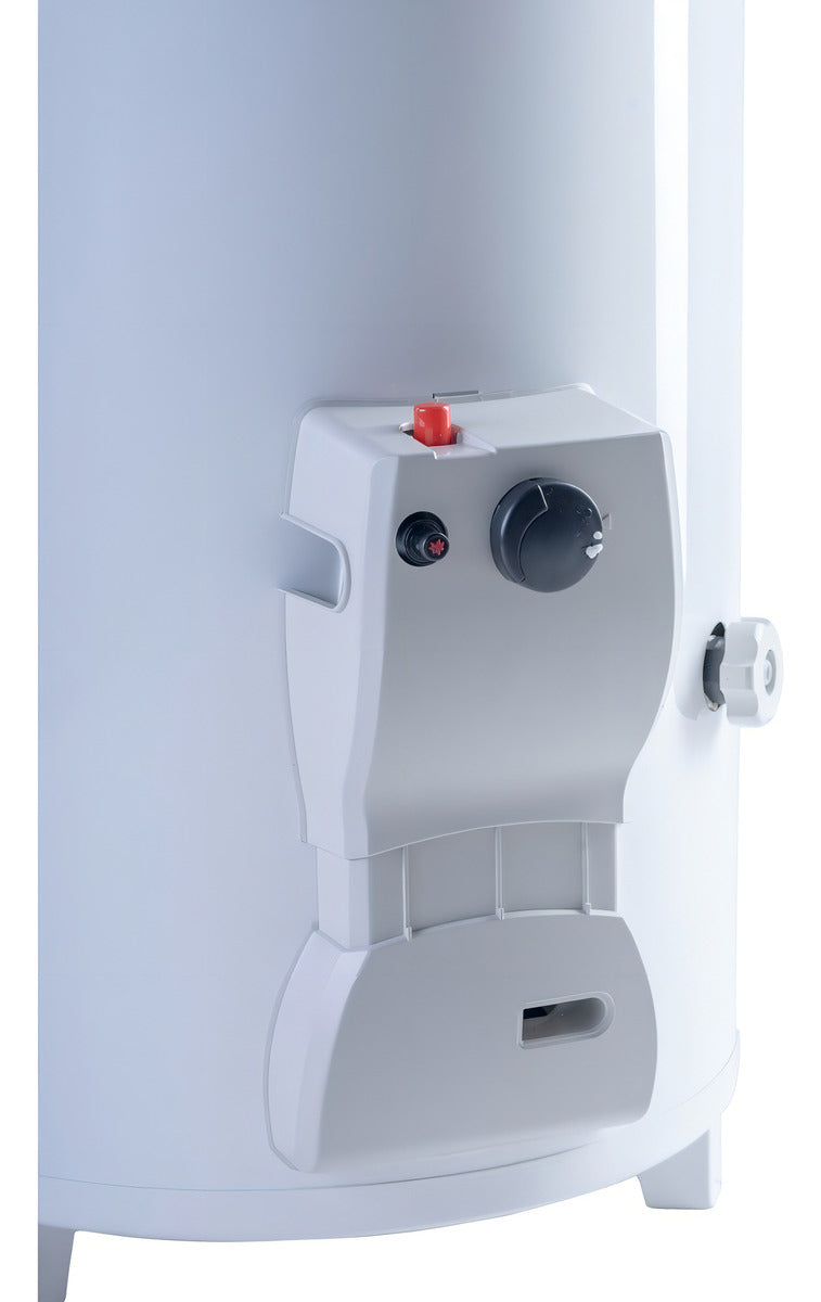 Termotanque A Gas Natural De Pie 80 Litros Rheem TPG080GNRH Carga Superior