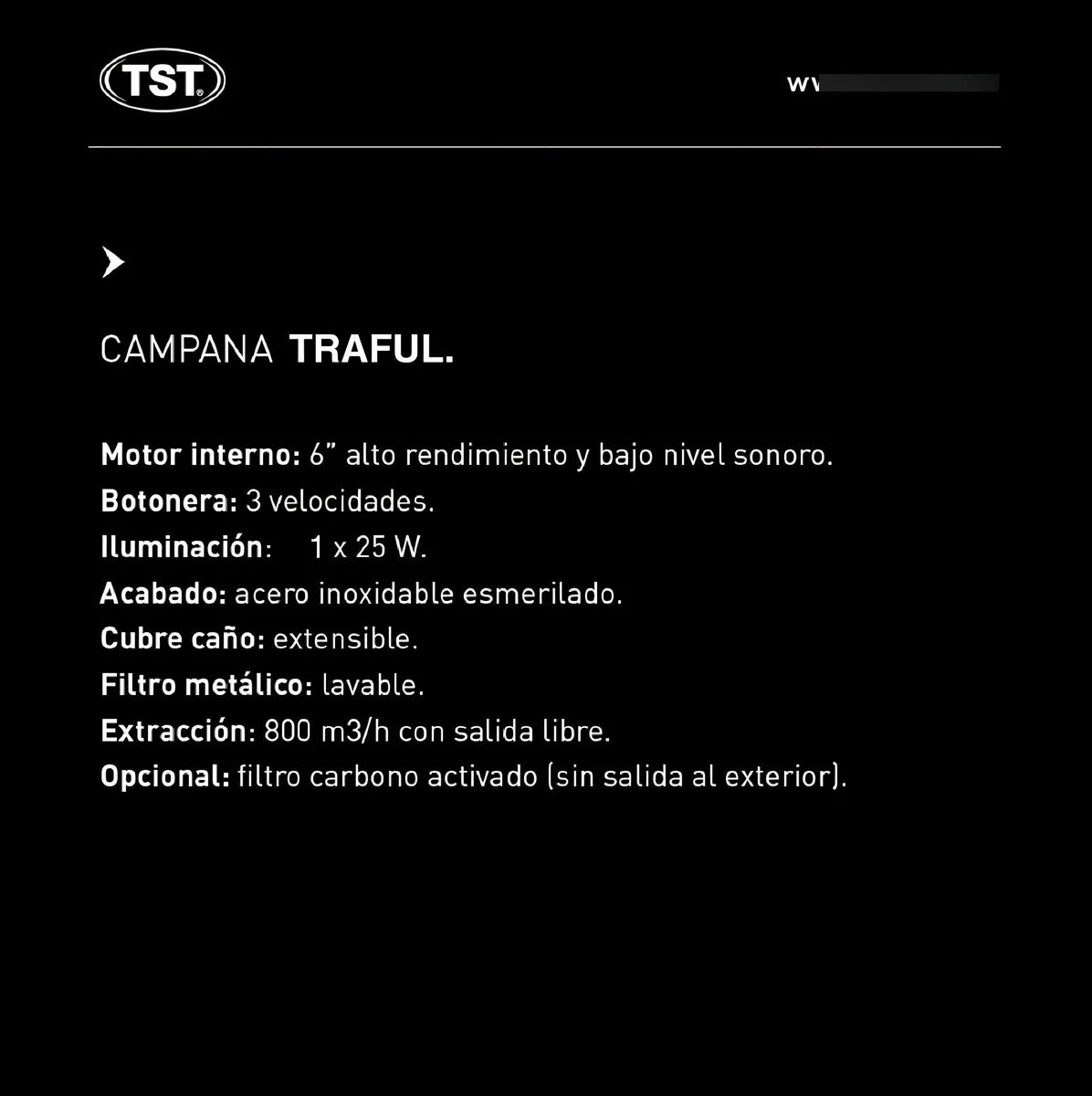 Extractor Purificador De Cocina Tst Traful Ac. Inox. De Pared 60cm X 25cm X 51cm Acero Inoxidable