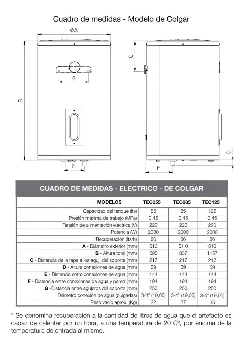Termotanque Eléctrico Rheem AEE TEC085RH Gris Oscuro 85L Carga Inferior - Colgar